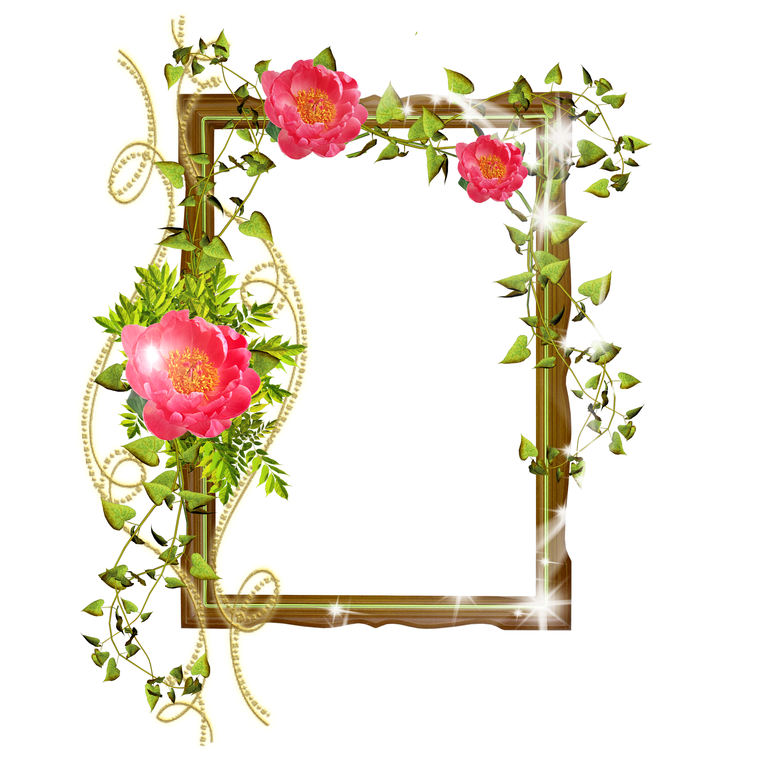 Рамочки для оформления фото Flower frame, Transparent picture frames, Cute frames