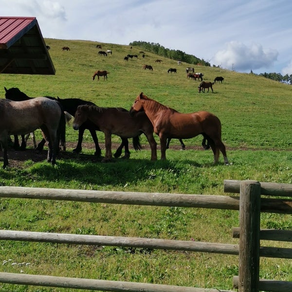 Ранчо декун 45 д абрамово фото Anchor D Ranch - Farm in Okotoks