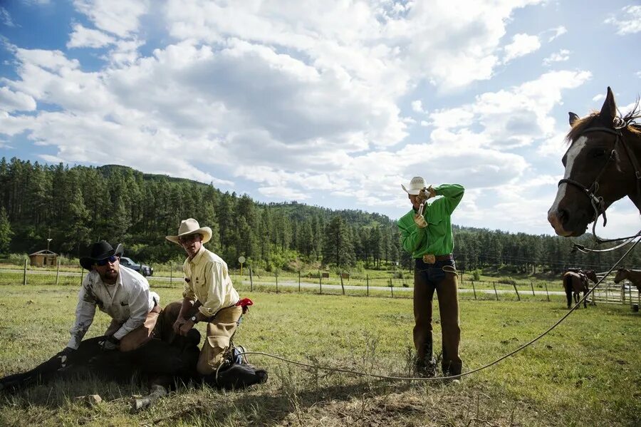 Ранчо декун 45 д абрамово фото Sustainable Ranching in Colorado - The Atlantic