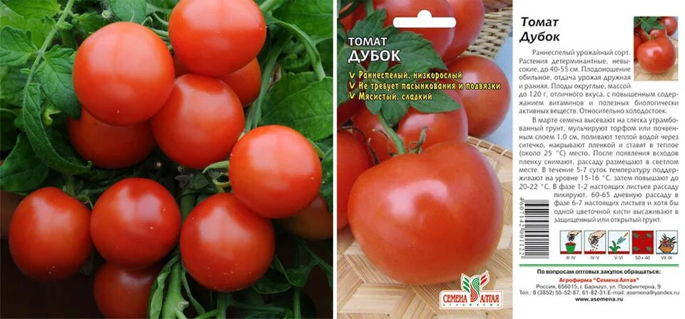 КАК ПРИГОТОВИТЬ ЭФФEKTИBHOE CPEДCTBO ПPOTИB ГPИБKOBЫX 3AБOЛEBAHИЙ HA TOMATAX ВКо