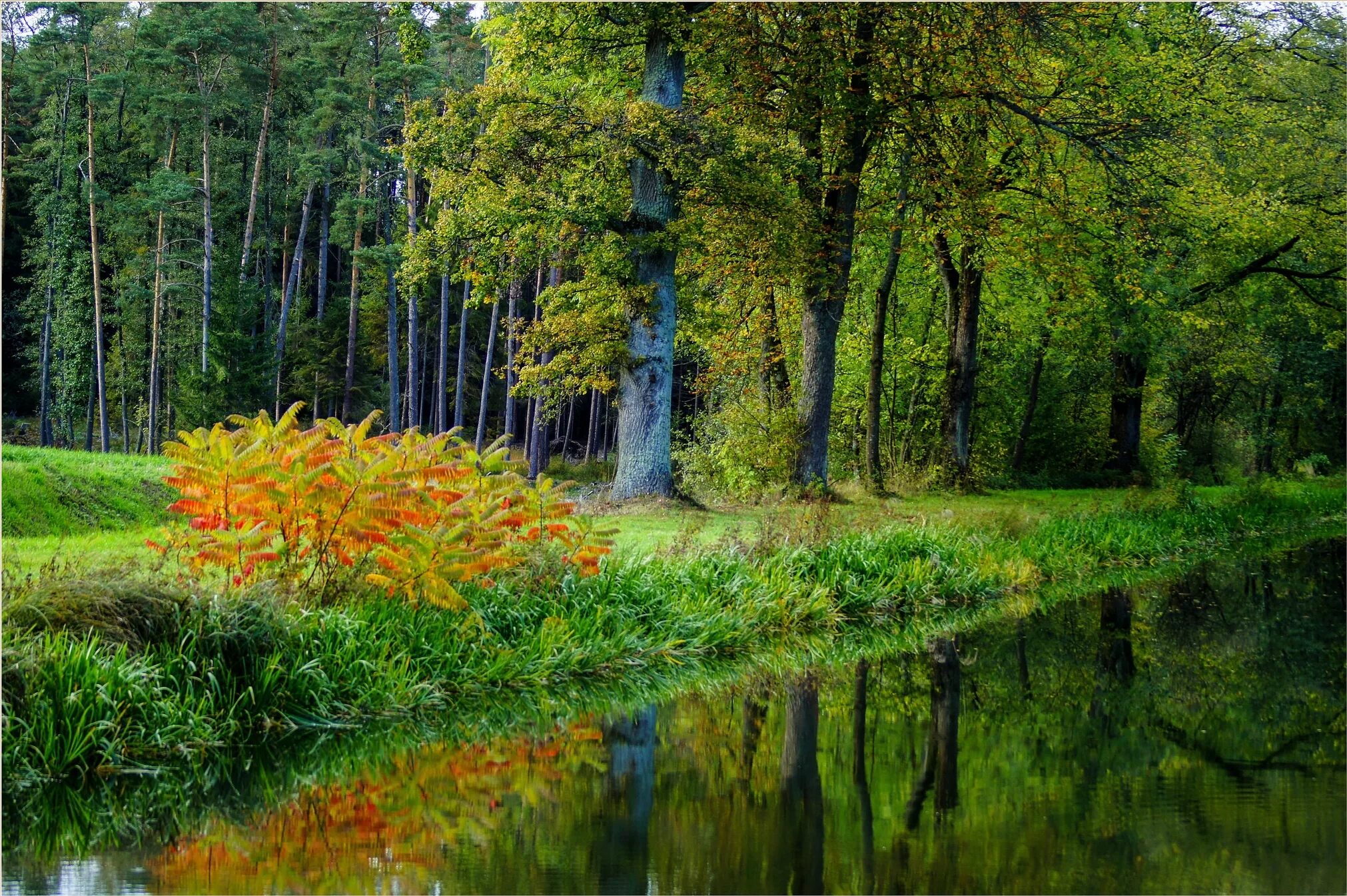 Ранняя осень фото природы Обои река водоём отражение от photomonstr - картинки и заставки Fonwall