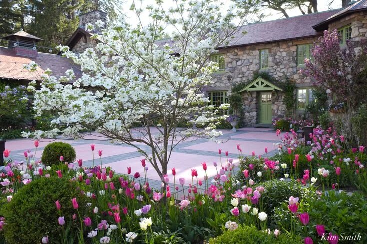 Ранняя весна на даче фото Cornus florida Kim Smith Designs Garden design, Backyard garden, Garden