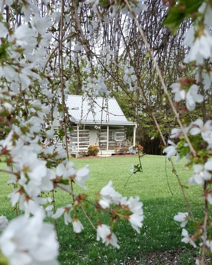 Ранняя весна на даче фото lavender-and-myrrh Happy day farm, Little cabin, Little cabin in the woods