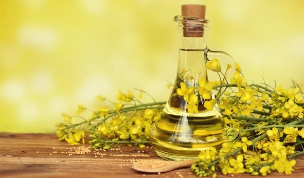 Рапсовое масло фото Direct Supplier Of Refined / Crude / Rbd Rapeseed Oil /canola Cooking Oil At Who