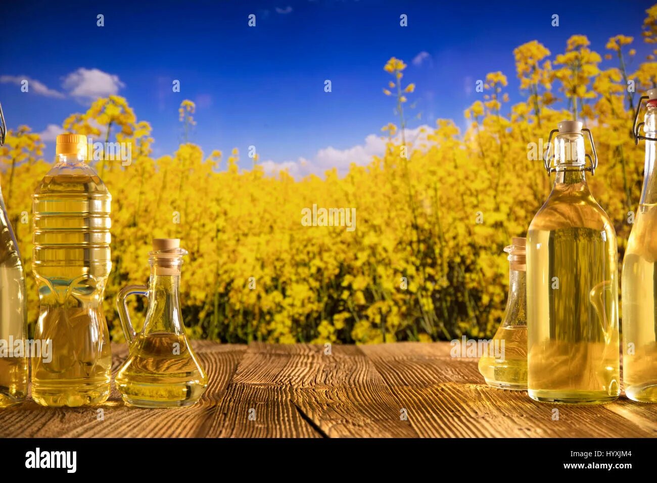 Рапсовое масло фото Rapeseed oil concept. Rapeseed oil on rapeseed field background. Bottles with oi