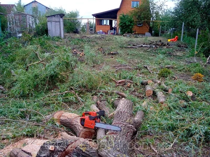 Расчистка участка фото Расчистка участка в Серове, цена за работу / окМастерок