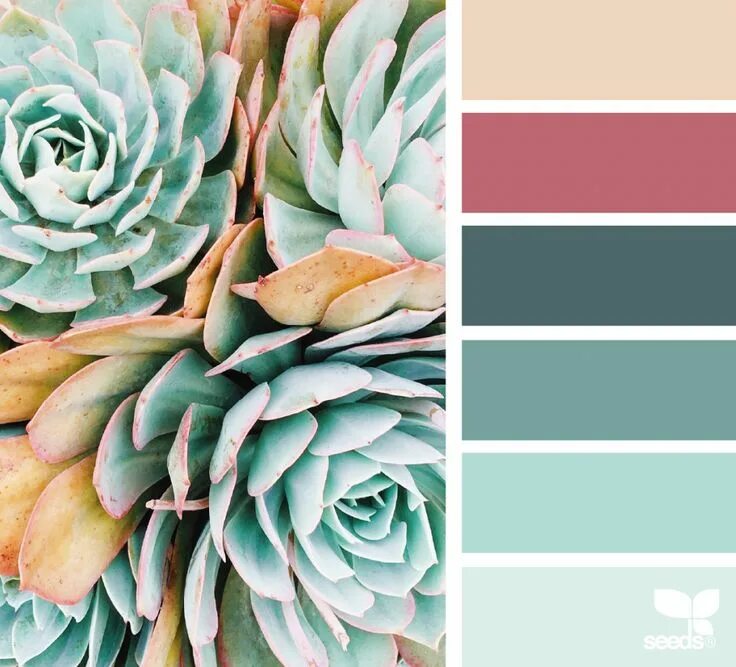 Раскладка фото по цвету Succulent Hues (design seeds) Seeds color, Seeds color palette, Color palette de