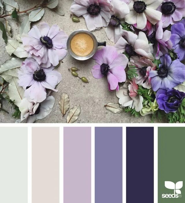 Раскладка фото по цвету spring hues (design seeds) Design seeds color palette, Seeds color, Design seeds