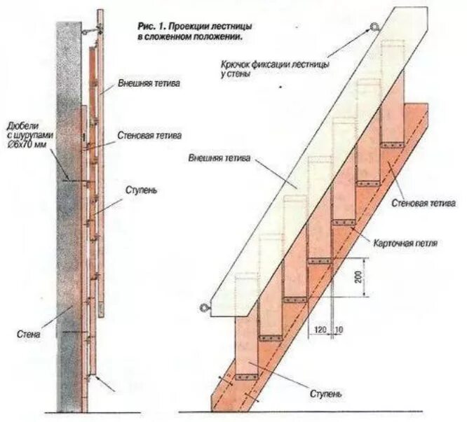 Раскладные лестницы своими руками чертежи Как сделать лестницу-раскладушку своими руками фото чертеж