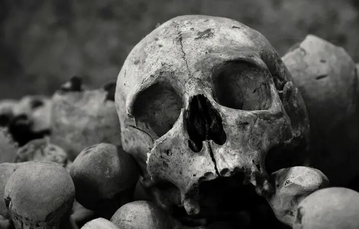 Расколотый череп фото Pin on caveira Skull, Skull and bones, Hd wallpaper