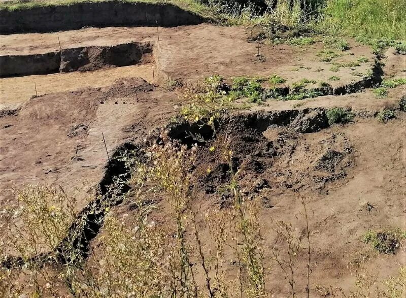 Раскопки старой рязани фото На раскопках в Старой Рязани археологи обнаружили следы войны и роскошной жизни 