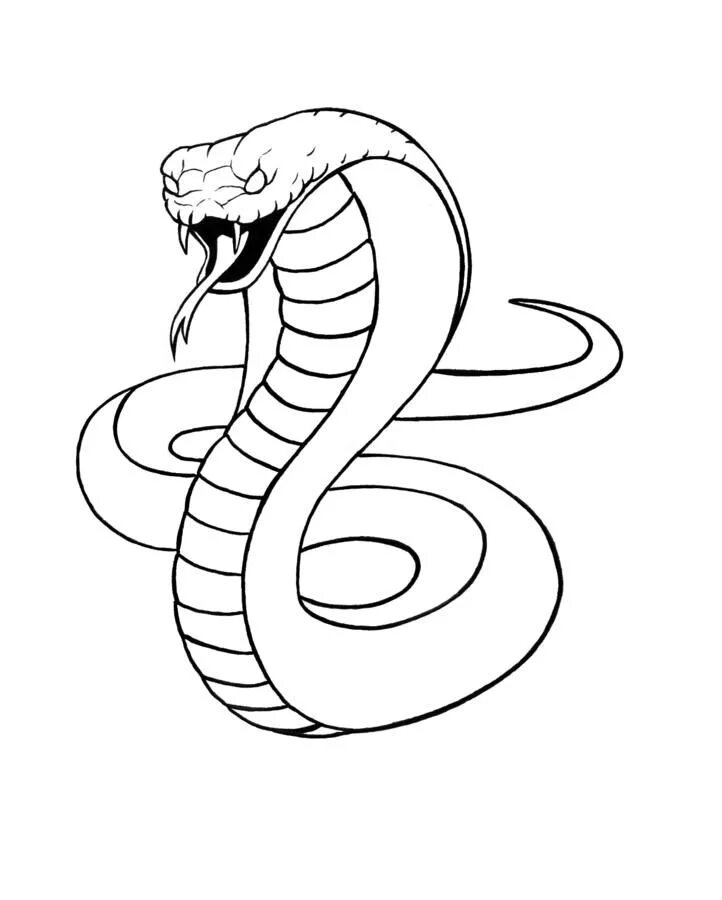 Раскрас змеи фото superheroes logos for colbra printable - Google Search Snake drawing, Snake colo