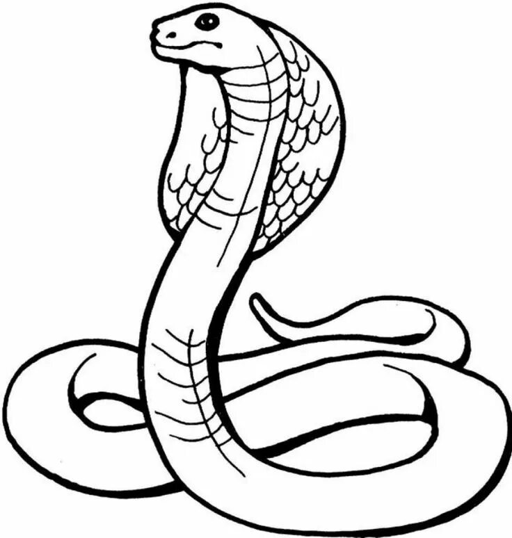 Раскрас змеи фото shesha snake colouring sheet - Google Search Snake coloring pages, Bird coloring