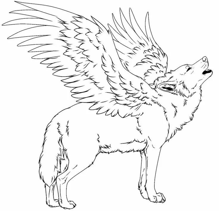 Раскрасить фото волка онлайн Printable Coloring Pages Wolf colors, Adult coloring pages, Coloring pages