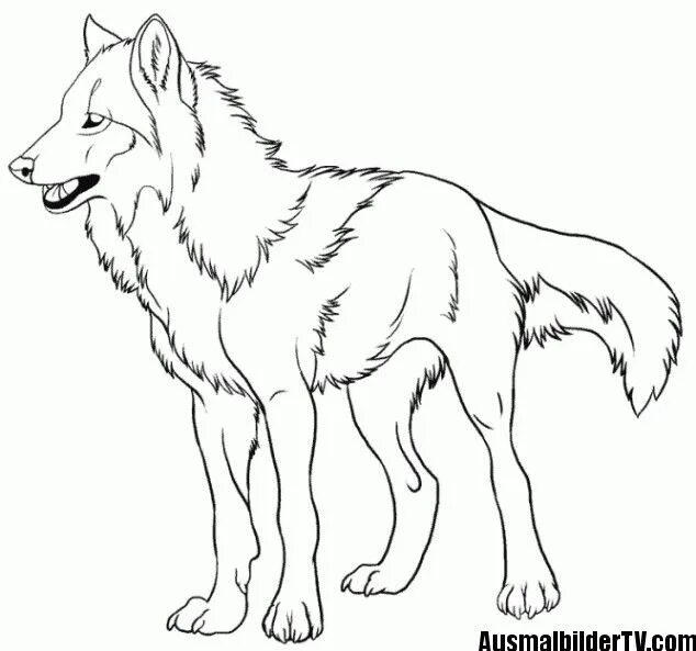 Раскрасить фото волка онлайн Pin by kristell on Arte de anime Pencil drawings of animals, Horse coloring page