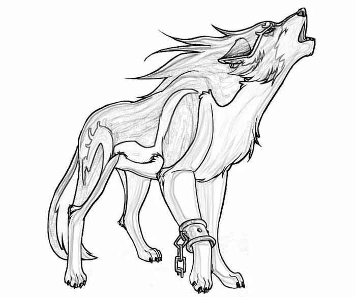 Раскрасить фото волка онлайн Printable Wolves Coloring Pages PDF - Coloringfolder.com Wolf colors, Anime wolf