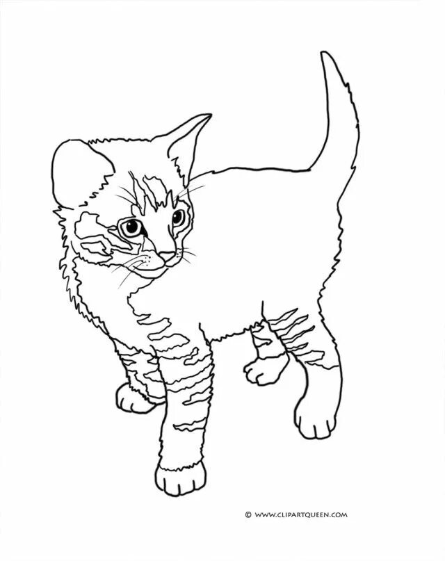 Раскраски кошек фото Pretty Image of Kittens Coloring Pages - entitlementtrap.com Cat coloring page, 