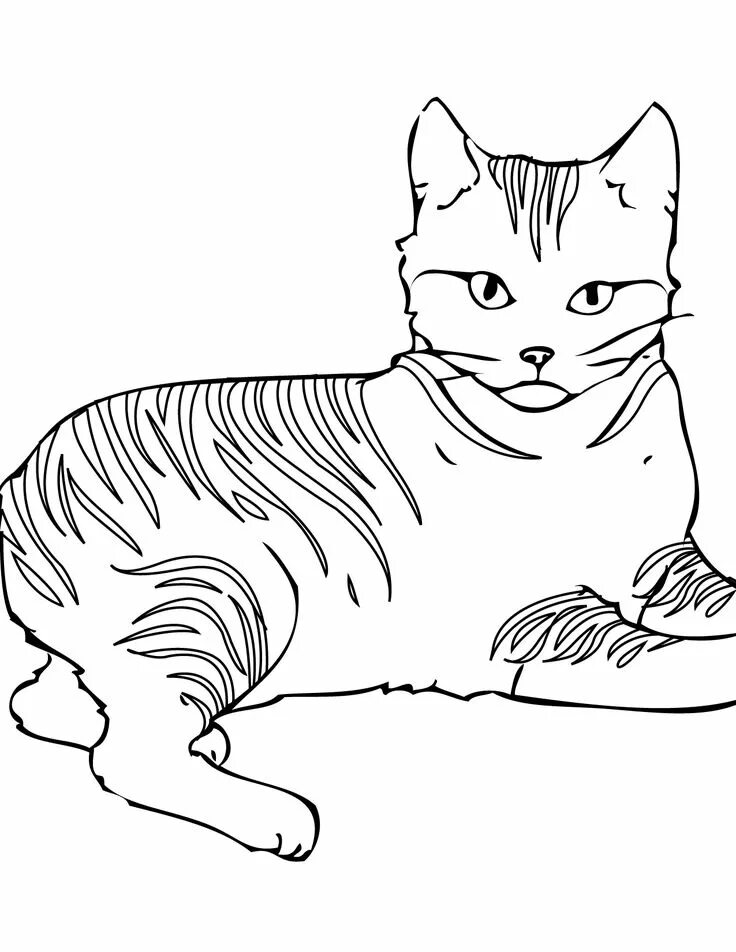 Раскраски кошек фото awesome cat pictures to color and print Special Picture Cat coloring book, Cat c