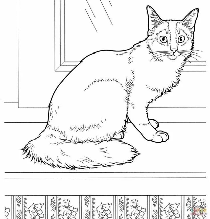 Раскраски кошек фото Printable Coloring Pages Coloring pages, Cat coloring page, Adult coloring pages