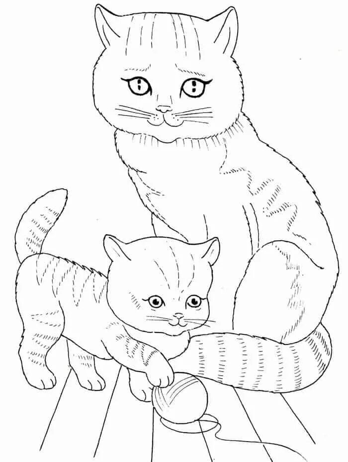 Раскраски кошек фото Realistic Kitten And Cat Coloring Pages Раскраски с животными, Котята, Раскраски