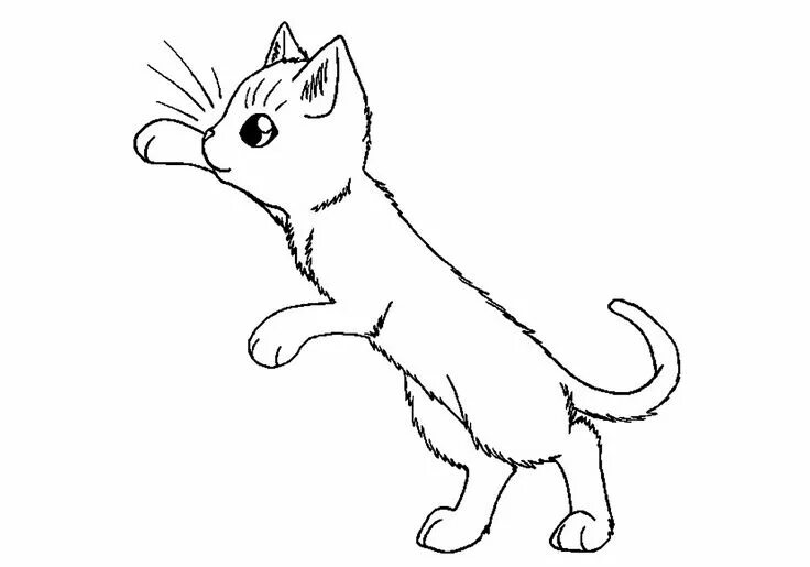 Раскраски кошек фото Похожее изображение Cat coloring page, Kittens coloring, Cat coloring book