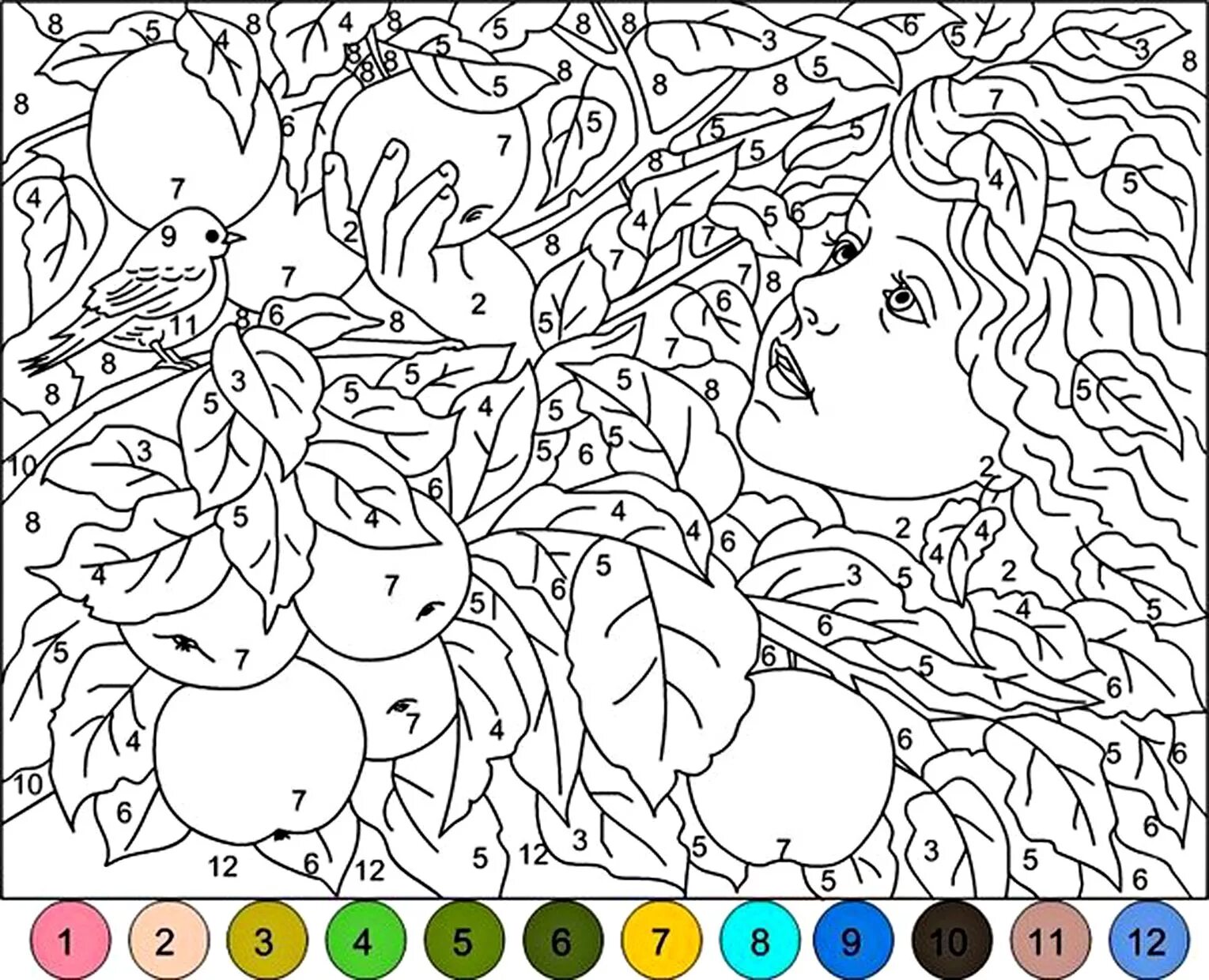 Раскраски по номерам по фото заказать https://s3.eu-central-1.amazonaws.com/img.sovenok.co.uk/harvest/maths-colouring/