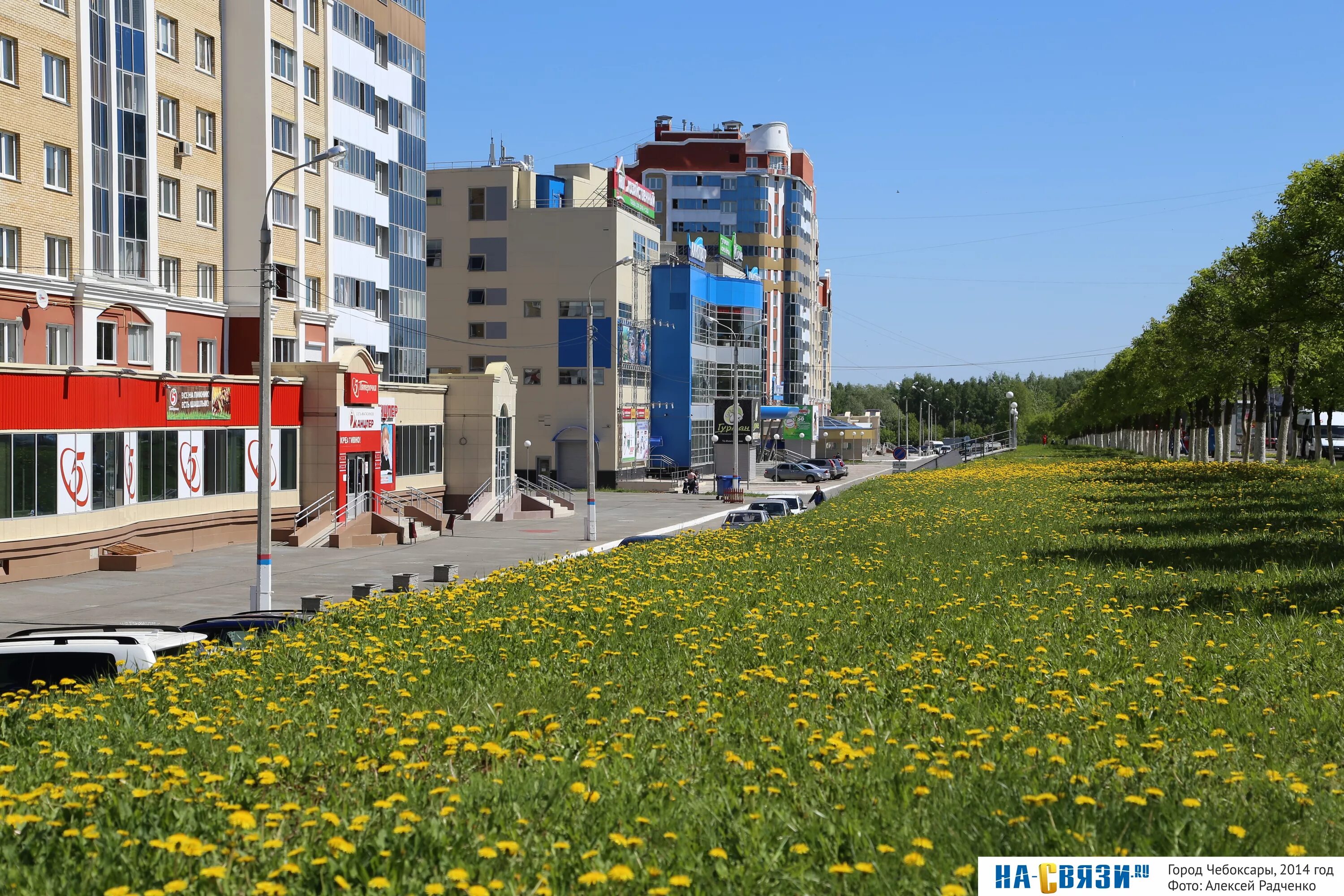 Распечатать фото чебоксары сзр Сервис сзр чебоксары