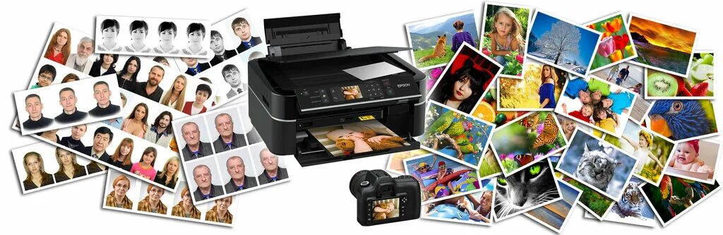 Распечатать фото рязань цены Больше не работает: RM-Print, фотоуслуги, Санкт-Петербург, Будапештская улица, 9