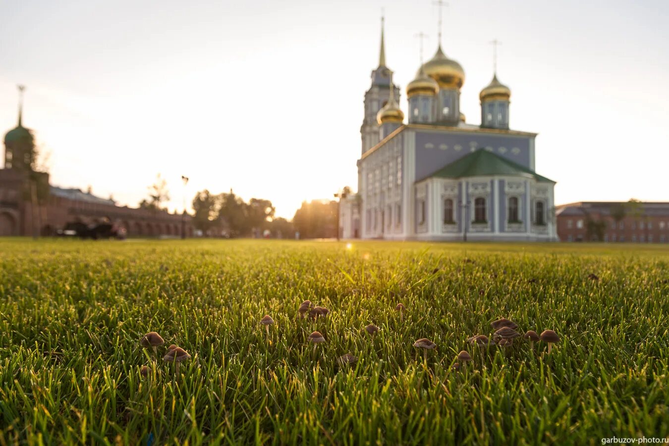 Распечатать фото тульская foto-tula.ru - ФотоТула. Илья Гарбузов. В Кремле интересная флора произрастает.