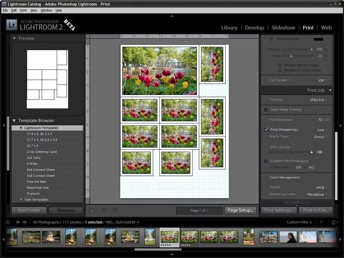 Распечатать много фото на одном листе Adobe открывает бета-тестирование программы Lightroom 2 // Новости фотоиндустрии