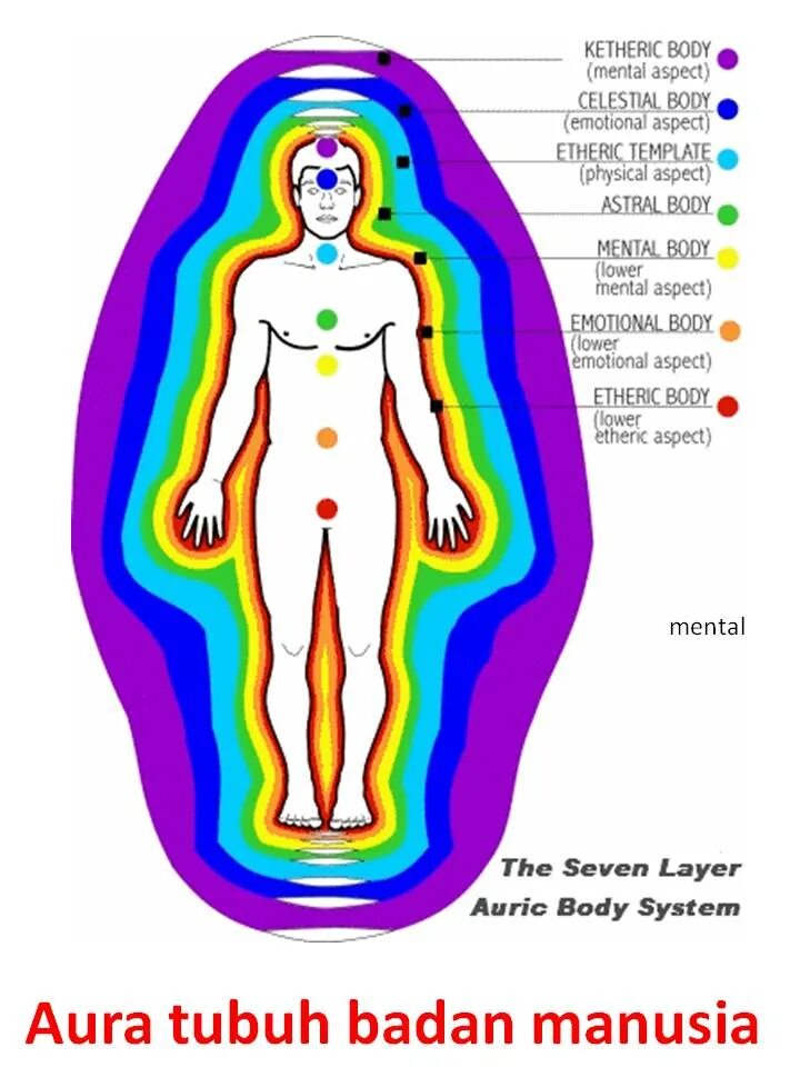 Распиновка ауры Aura tubuh badan manusia Sifuli Terapi