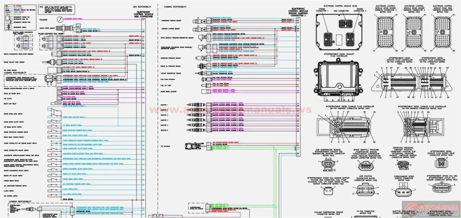 Распиновка cummins Cummins isx15 Ecm Wiring Diagram Cummins isx Wiring Diagram Wiring Library autoc