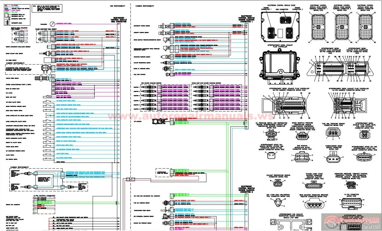 Распиновка cummins Cummins ism Ecm Wiring Diagram Cummins isb Ecm Wiring Diagram autocardesign