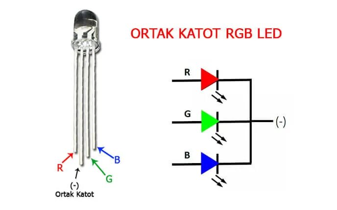 Распиновка диода Arduino ile RGB Led Kullanımı-RGB Led Sürme