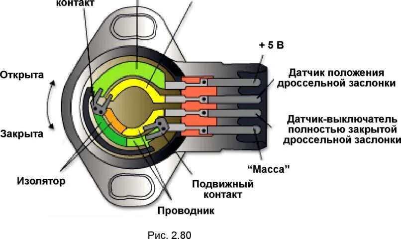 Распиновка дпдз Клапан холостого хода и картерные газы - Toyota Raum (10), 1,5 л, 1997 года свои