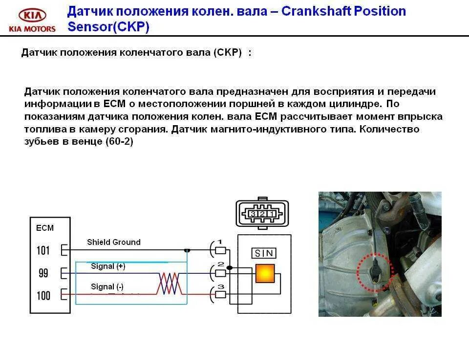 Распиновка дпкв Какое напряжение должно быть на датчике коленвала: найдено 89 изображений