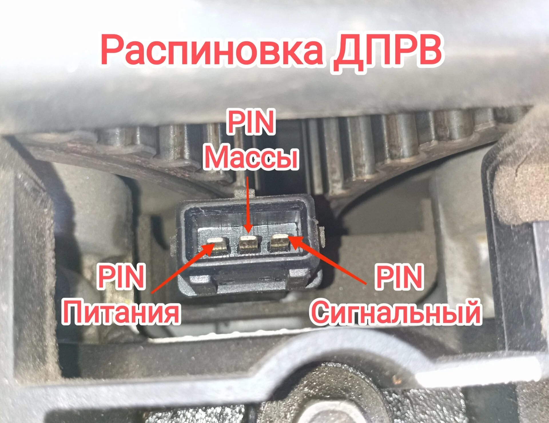 Распиновка дпрв Часть 1.1 "Реанимация электрики" ЭБУ + ДПРВ - Chevrolet Aveo Sedan (1G), 1,6 л, 