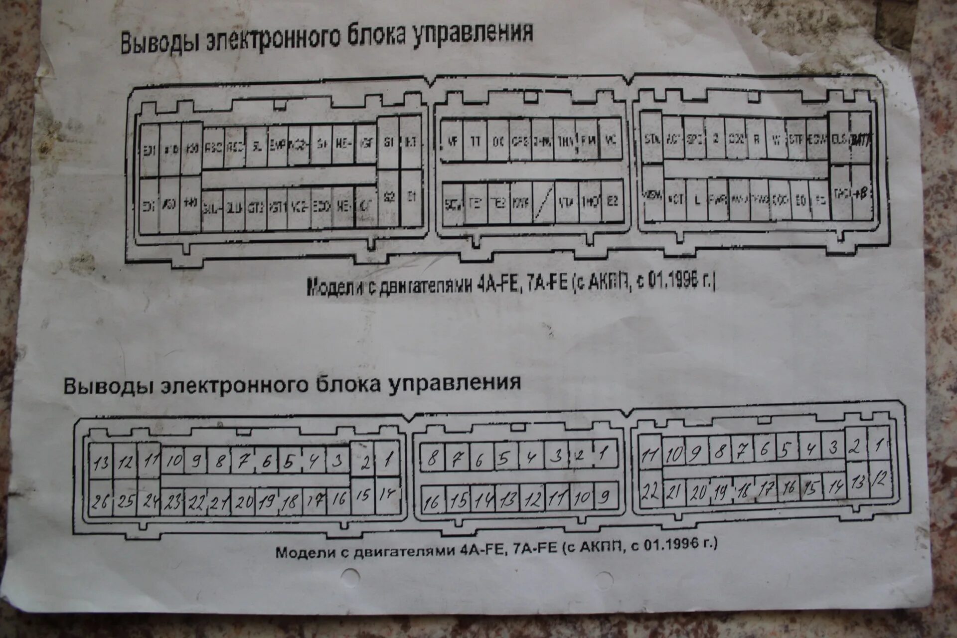 Распиновка эбу двигателя Распиновка блока управления тойота: найдено 88 изображений