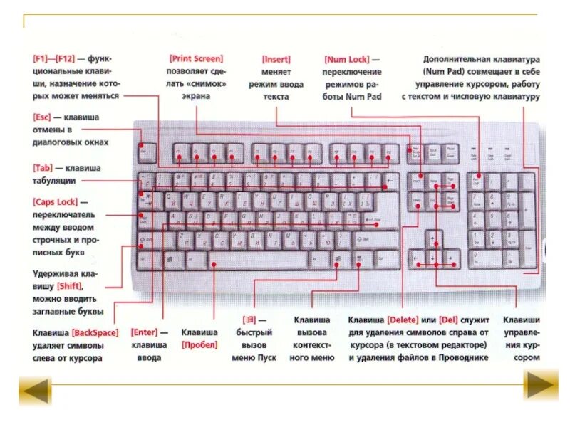 Распиновка клавиш Картинки ЧТО ДЕЛАЮТ КЛАВИШИ НА КЛАВИАТУРЕ