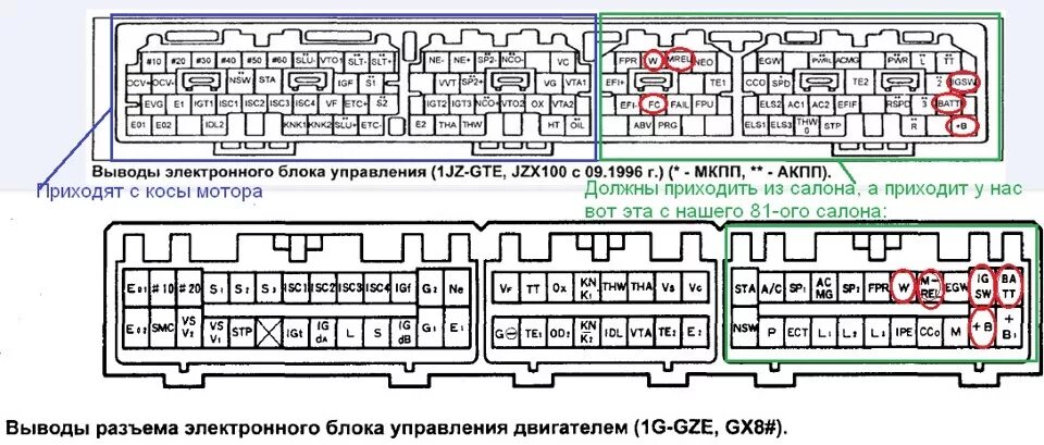 Распиновка марк 2 Свап инфо: Распиновка мозгов gx81, jzx100 и не только. (Минимум по электрике для