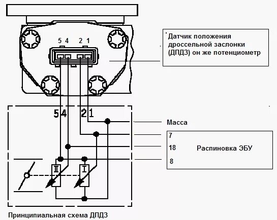 Распиновка моновпрыска Диагностика моновпрыска моно-джетроник - Audi 80 (B3), 1,8 л, 1988 года своими р