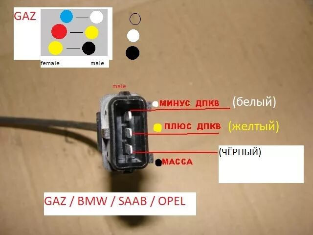 Распиновка проводов датчика РАСПИНОВКА и Проверка ДПКВ - BMW 3 series (E36), 1,6 л, 1991 года просто так DRI