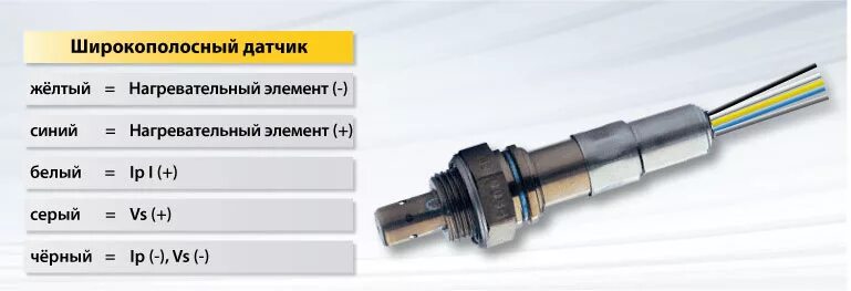 Распиновка проводов лямбда зонда Меняем ШДК (широкополосный датчик кислорода). - SEAT Cordoba (Mk II), 1,4 л, 200