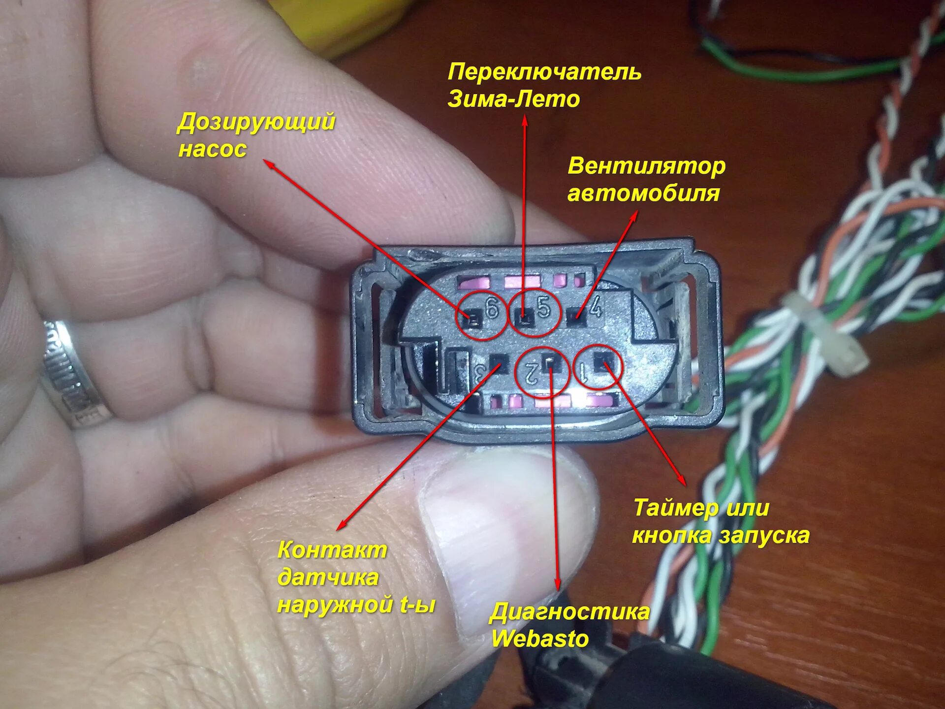 Распиновка вебасто Отыскание неисправности Webasto ThermoTop-Z/C-D Peugeot 807 (Установка кнопки за