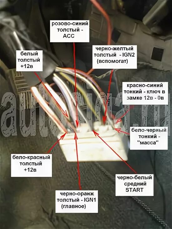 Распиновка замка зажигания тойота Карта установки автосигнализации на Toyota Camry 1995