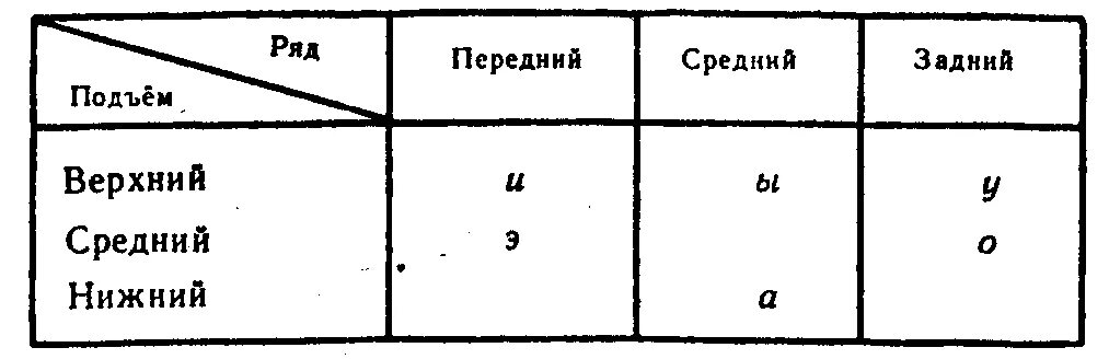 Расположение гласных звуков схема Лабиализованный гласный заднего ряда