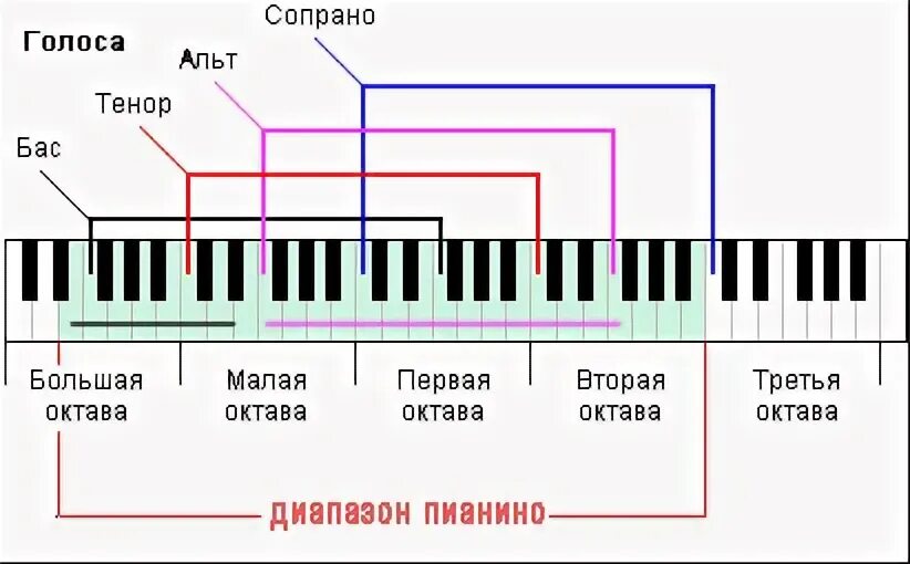 Расположение голосов в хоре схема Диапазон голоса- от чего он зависит и какой бывает Просто о вокале Дзен