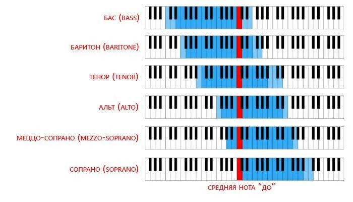 Расположение голосов в хоре схема Ключевые понятия и тестовые задания по теме занятия "Постановка голоса". Тембрал