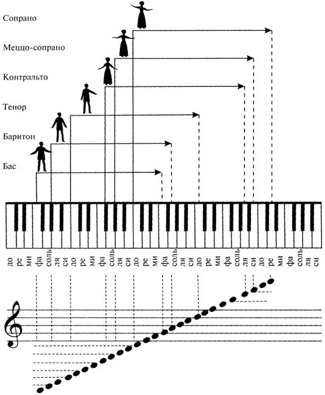 Расположение голосов в хоре схема Ответы Mail.ru: подскажите, какой у меня голос