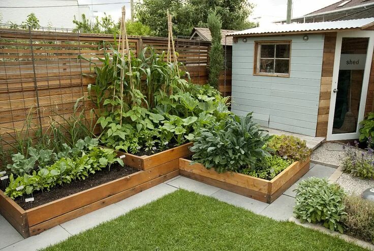 Расположение грядок на дачном участке фото Pretty Raised Bed : Best Source Information Home Architecture Backyard garden la